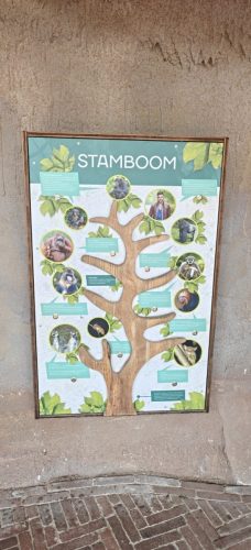 Stamboom