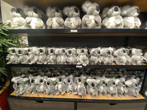 Koala uitverkoop