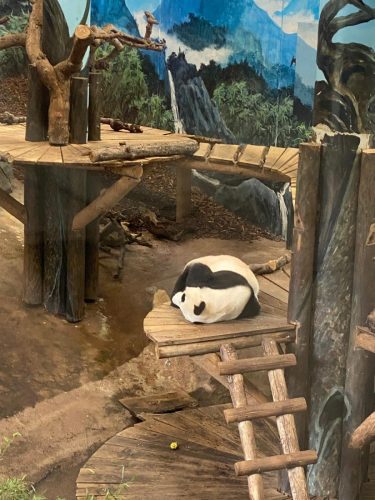 Vermoeide Kung Fu Panda